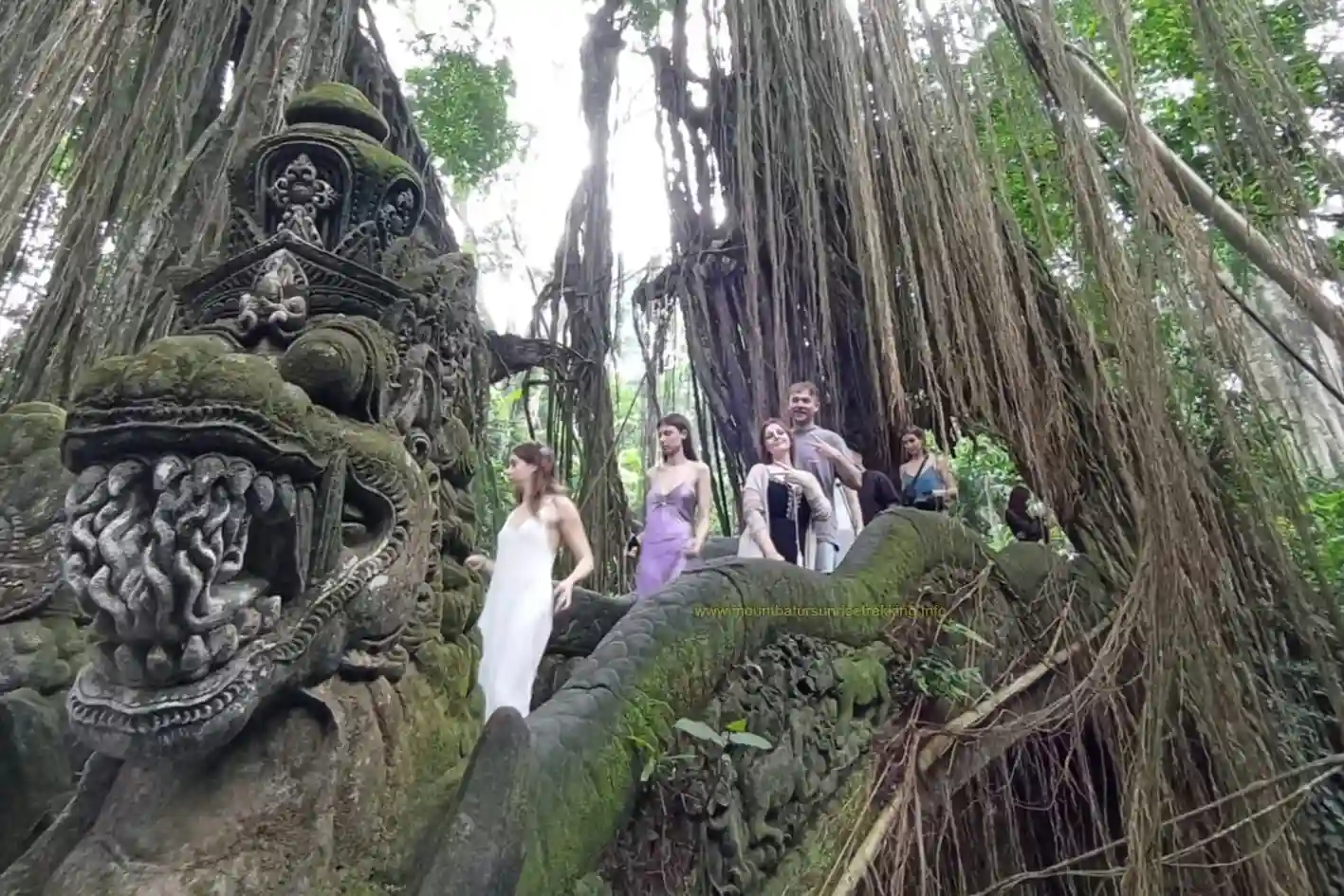 monkey-forest